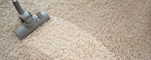 Our Professional Carpet Cleaning Brisbane Services are second to none!