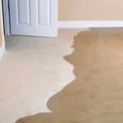 Water Damage Restoration Bethania Sunstate Cleaning