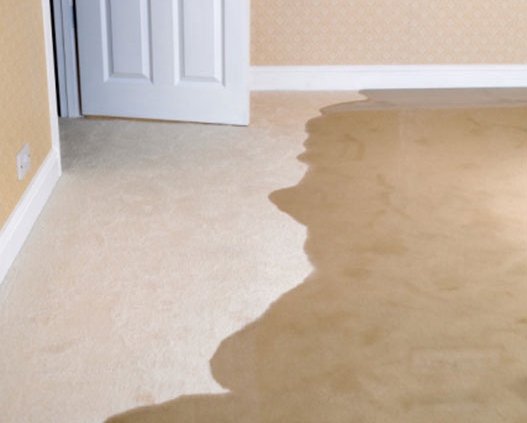 Water Damage Restoration Bethania Sunstate Cleaning