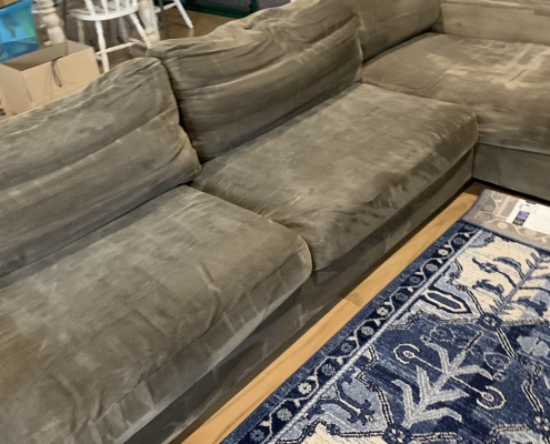 upholstery clean mitchelton